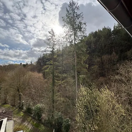 Am Fürstenweg Neuwied