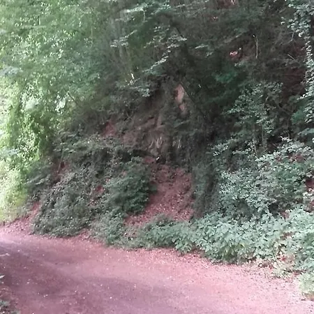 Am Fürstenweg * Neuwied